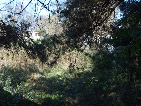 Foto 53